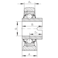 直立式軸承座單元 RASEL50-N, 鑄鐵軸承座，浮動軸承，內(nèi)圈有驅(qū)動槽，R 型密封